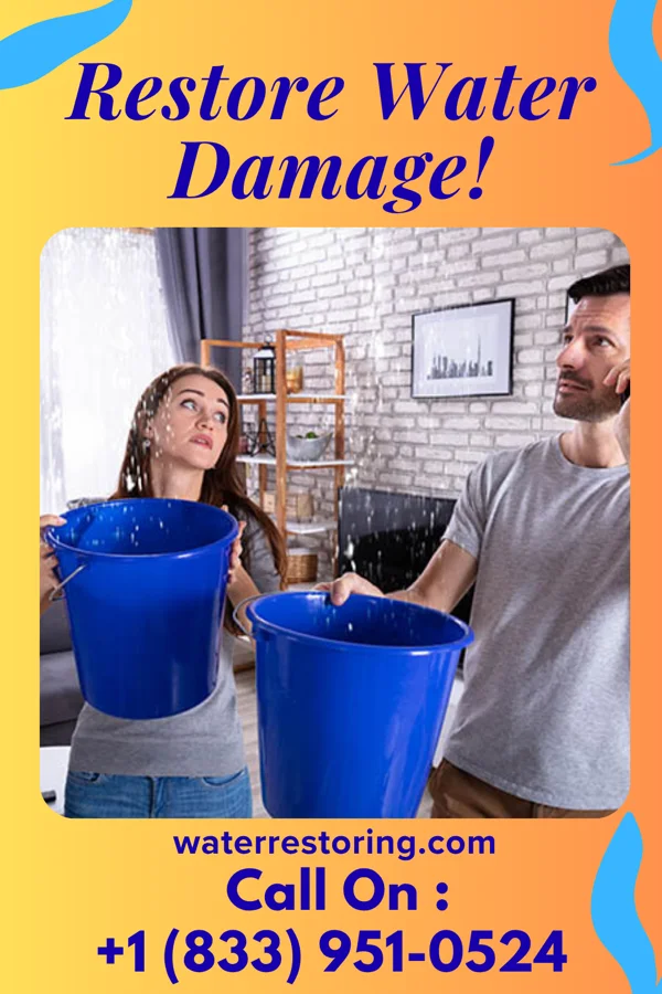 water restoration Horizon Water Repair Experts Southview